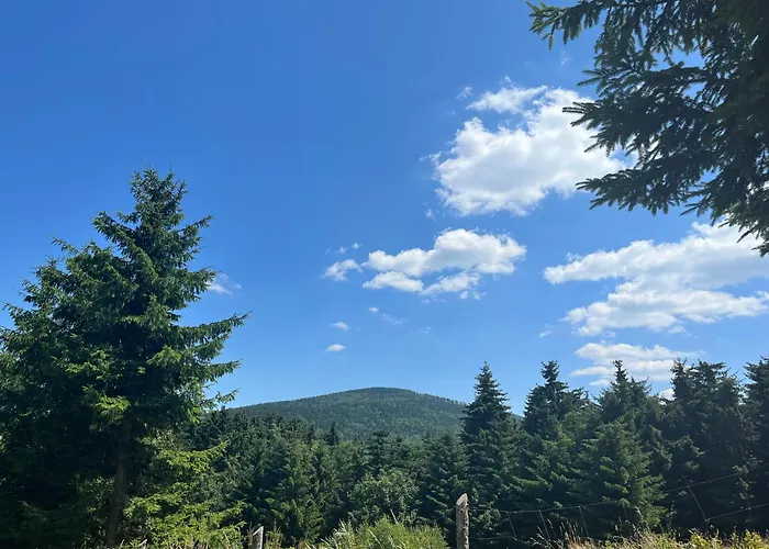 Dom W Rzeczce Góry Sowie Dom wakacyjny *